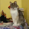 Отзыв от Анастасия Золотова